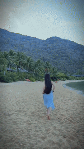 gif 1