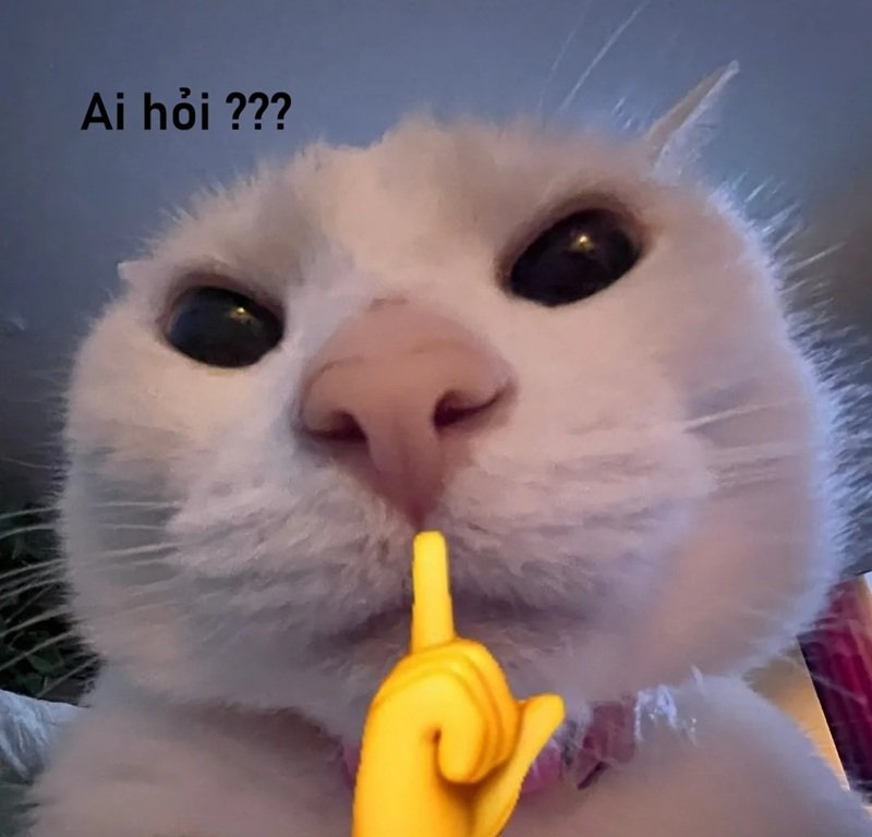meme ai hoi 10