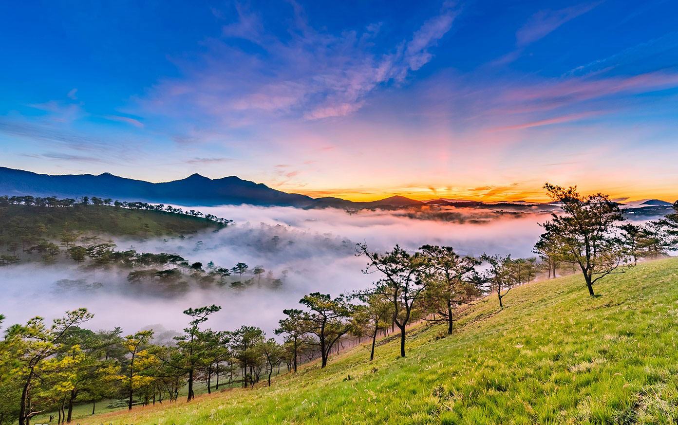 cao nguyen lam vien thuoc tinh nao 3