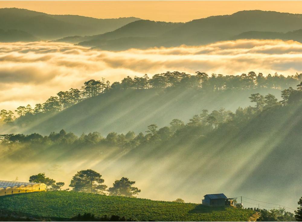 kham pha 10 thac nuoc da lat dep o cao nguyen lam dong