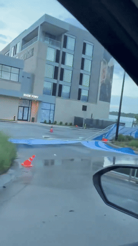 gif 6