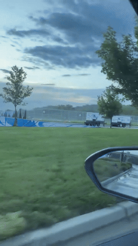 gif 7