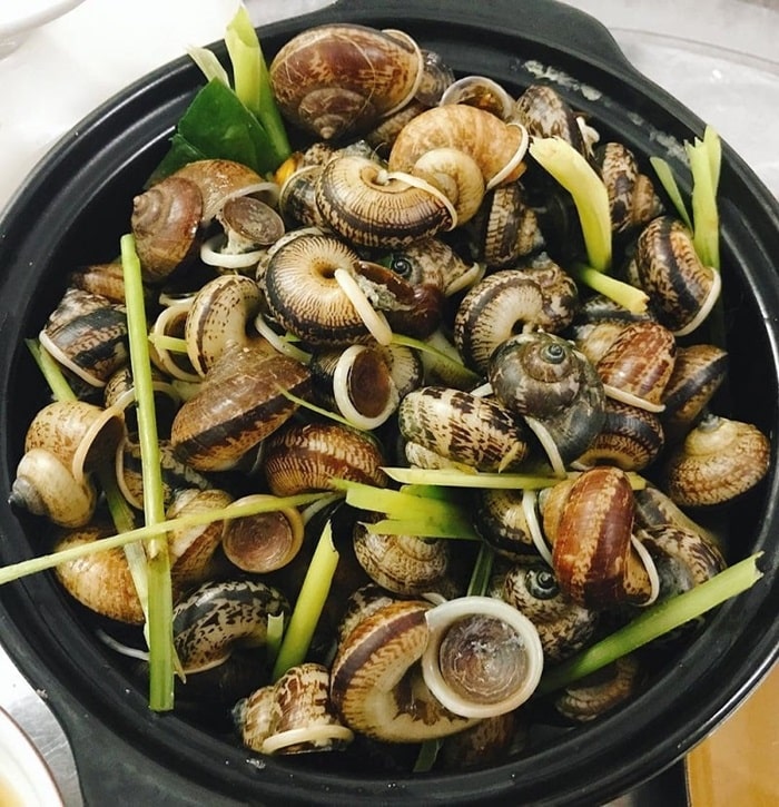ocnuininhbinhanodaungon