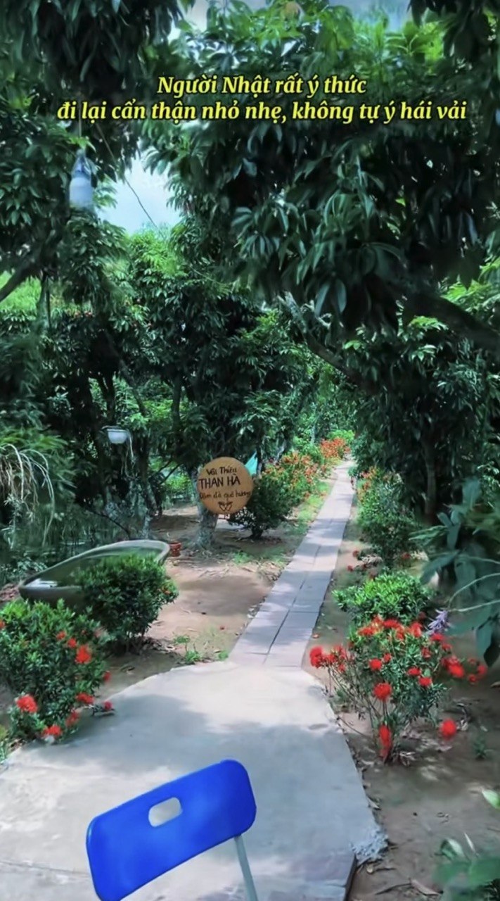 photo2026 06 1119 42 39 2
