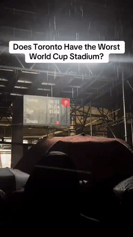 gif 1