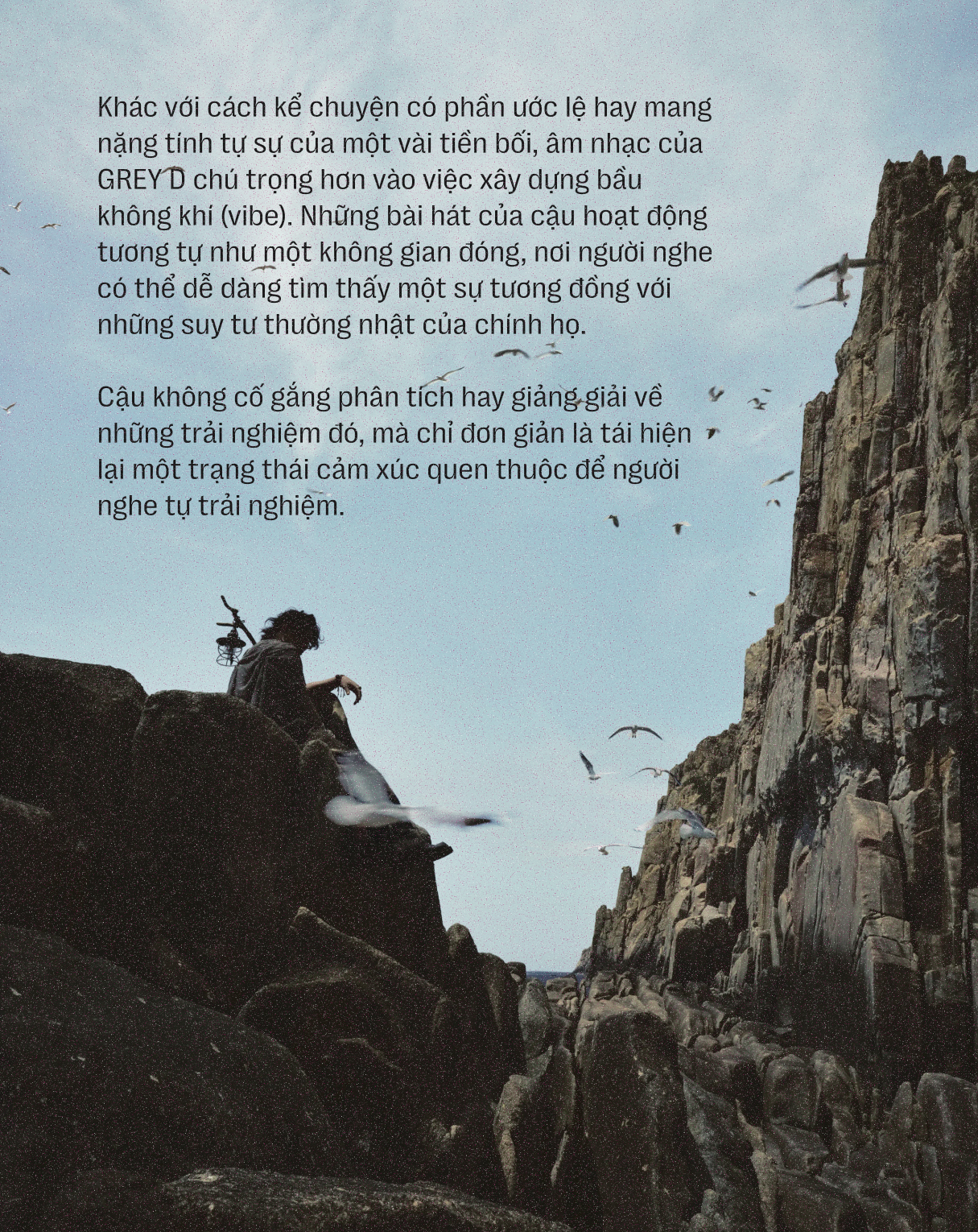 greyd 11
