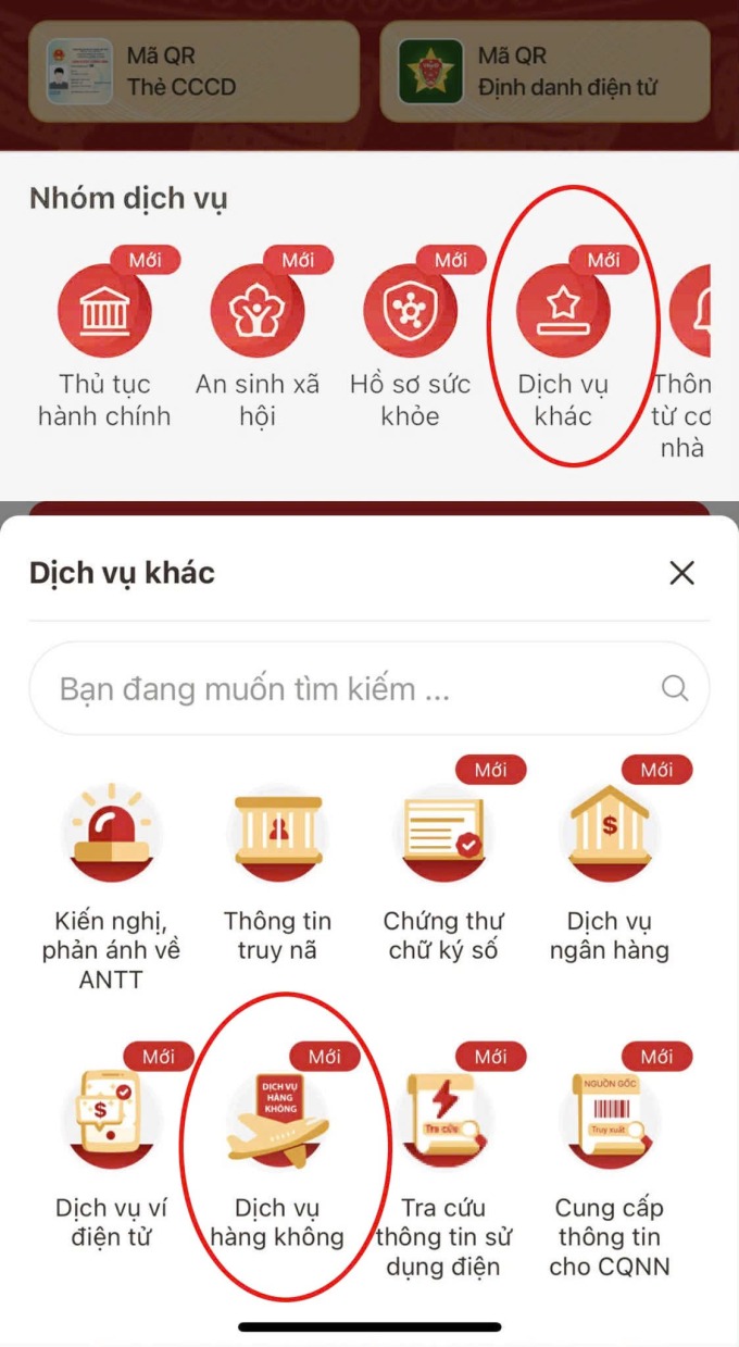 lam thu tuc bay bang vneid ivivu 2 1