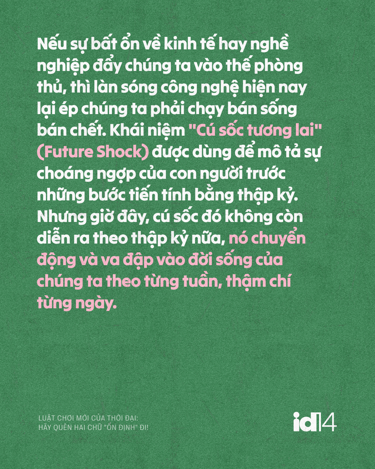 n dinh 08