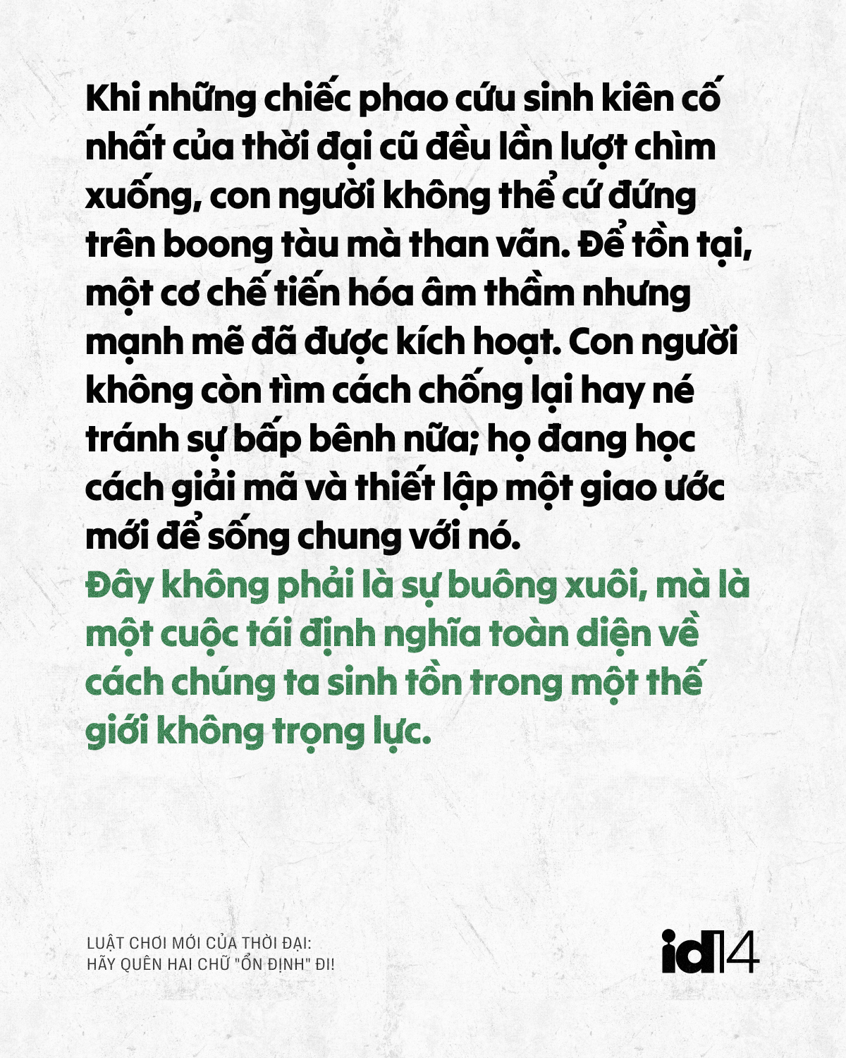 n dinh 10