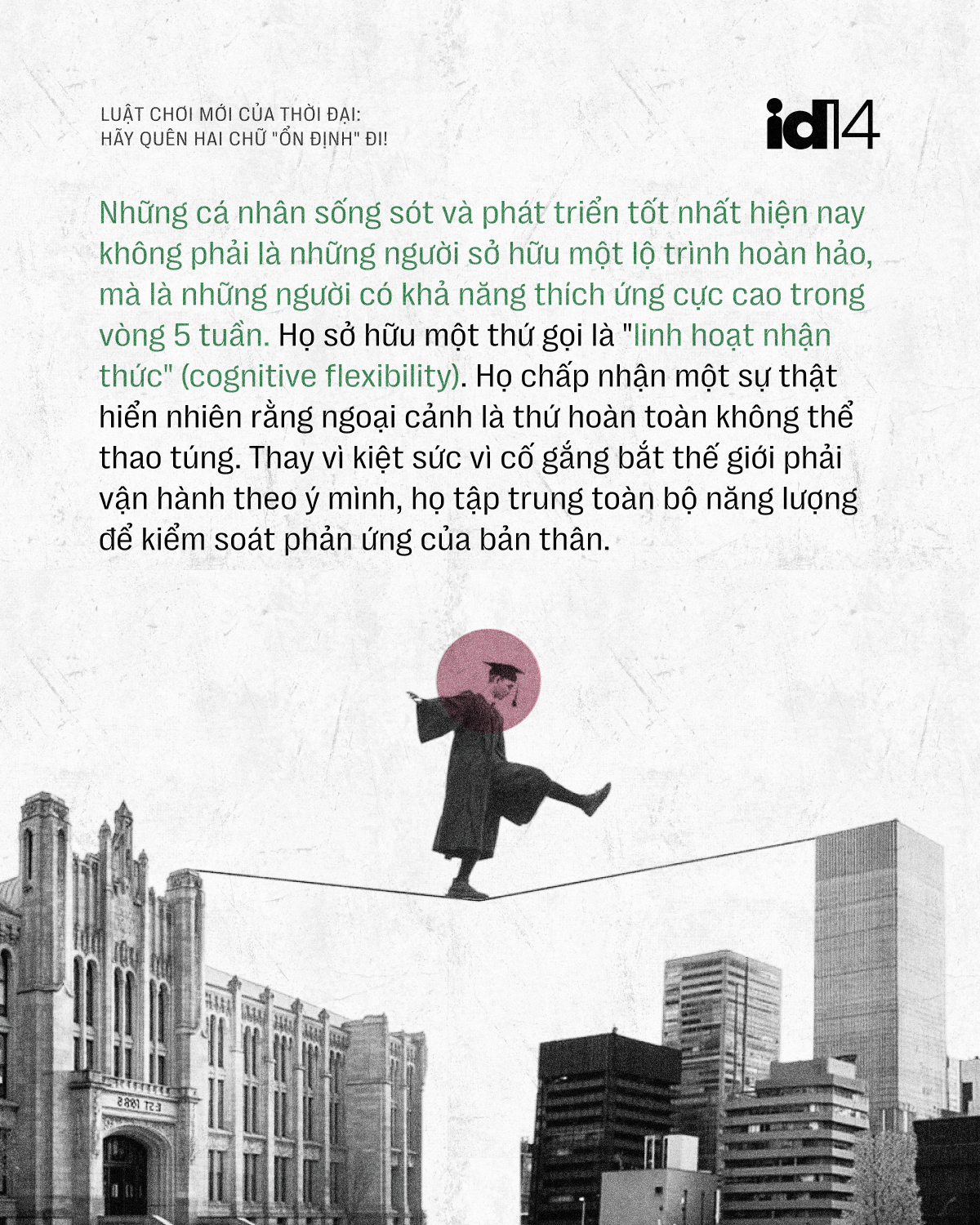 n dinh 11