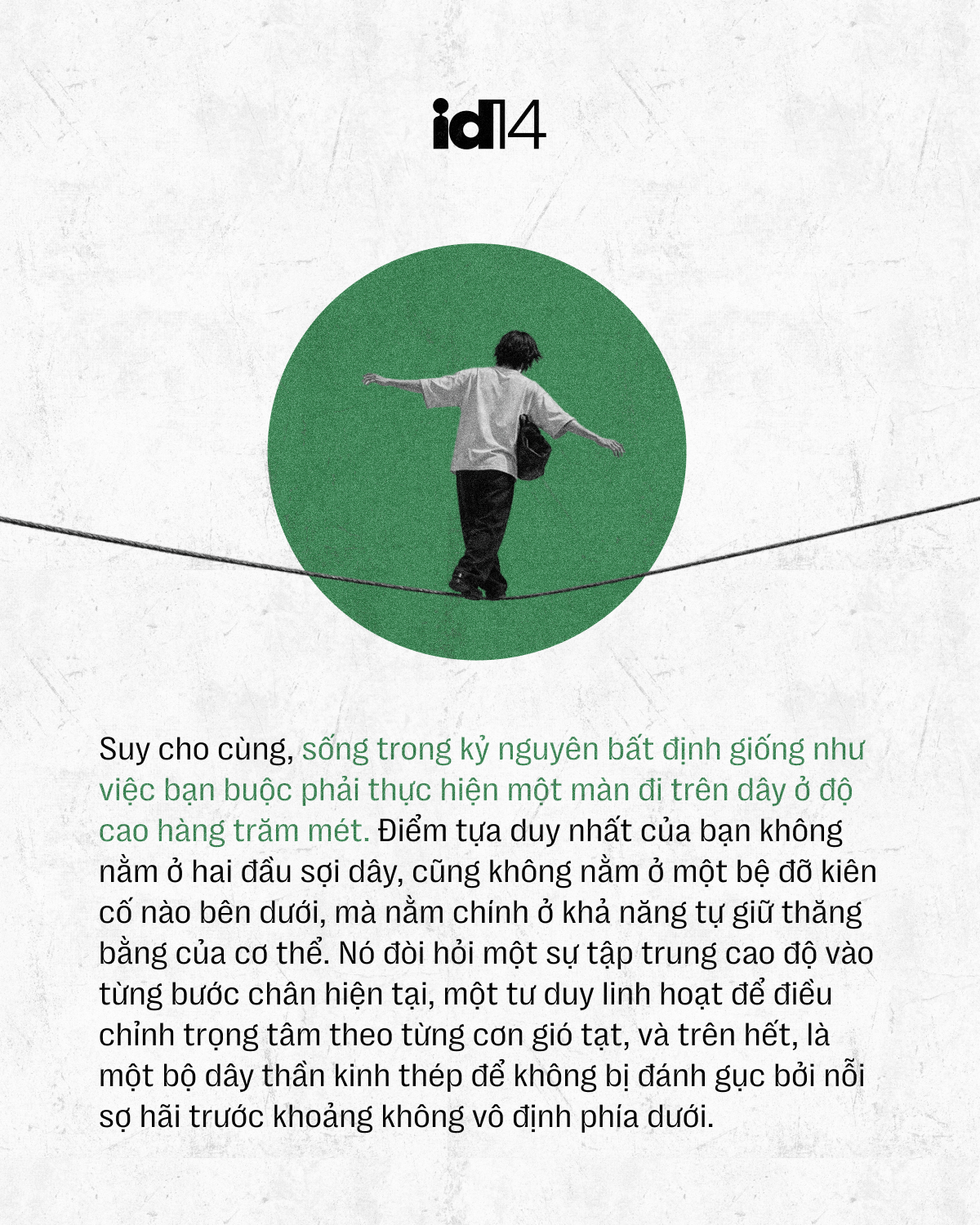 n dinh 14