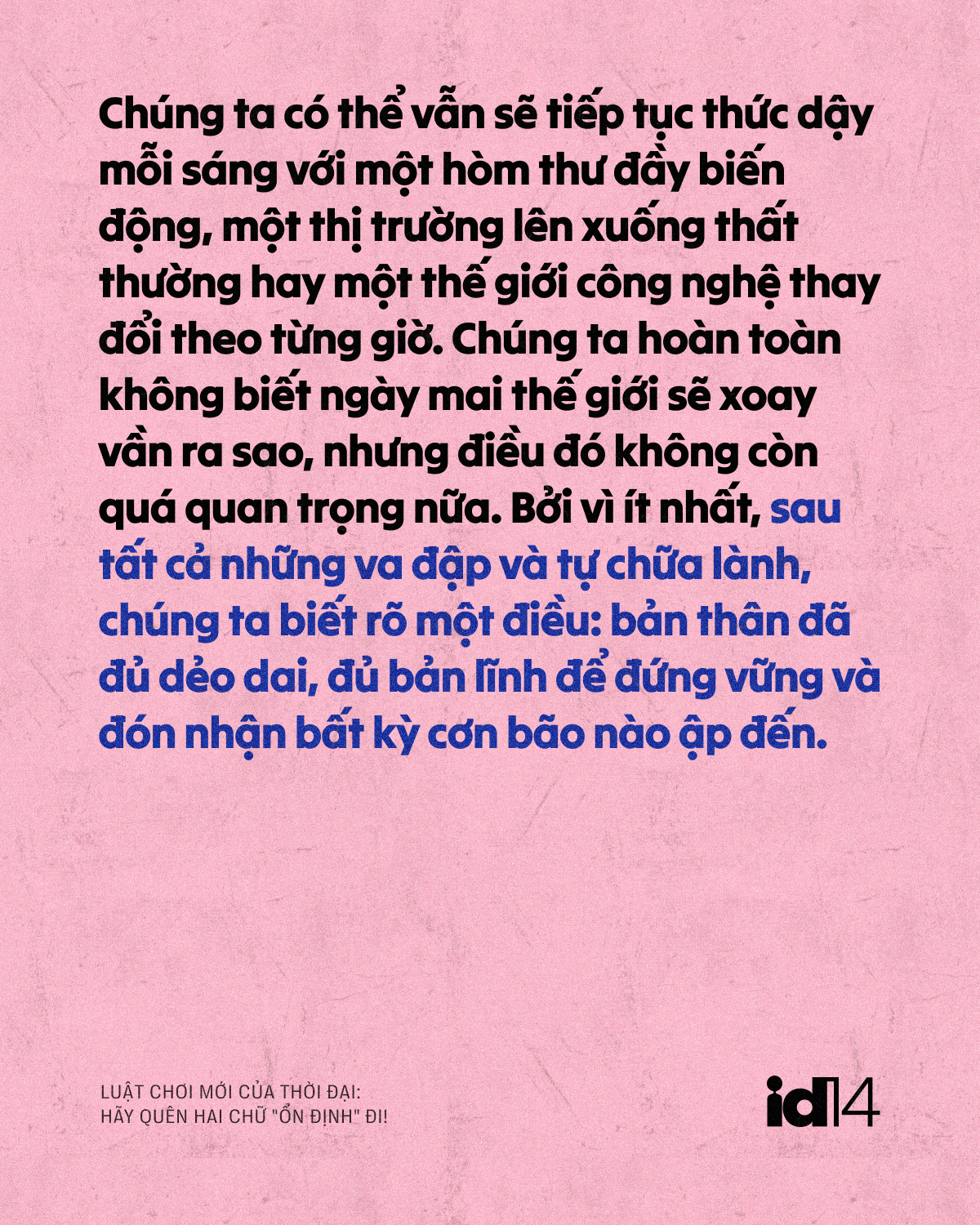 n dinh 15