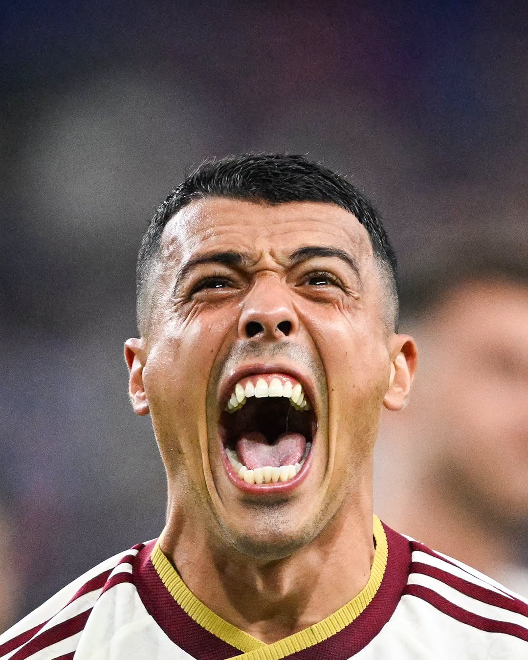 74730713817220960022572597049804433995645759n
