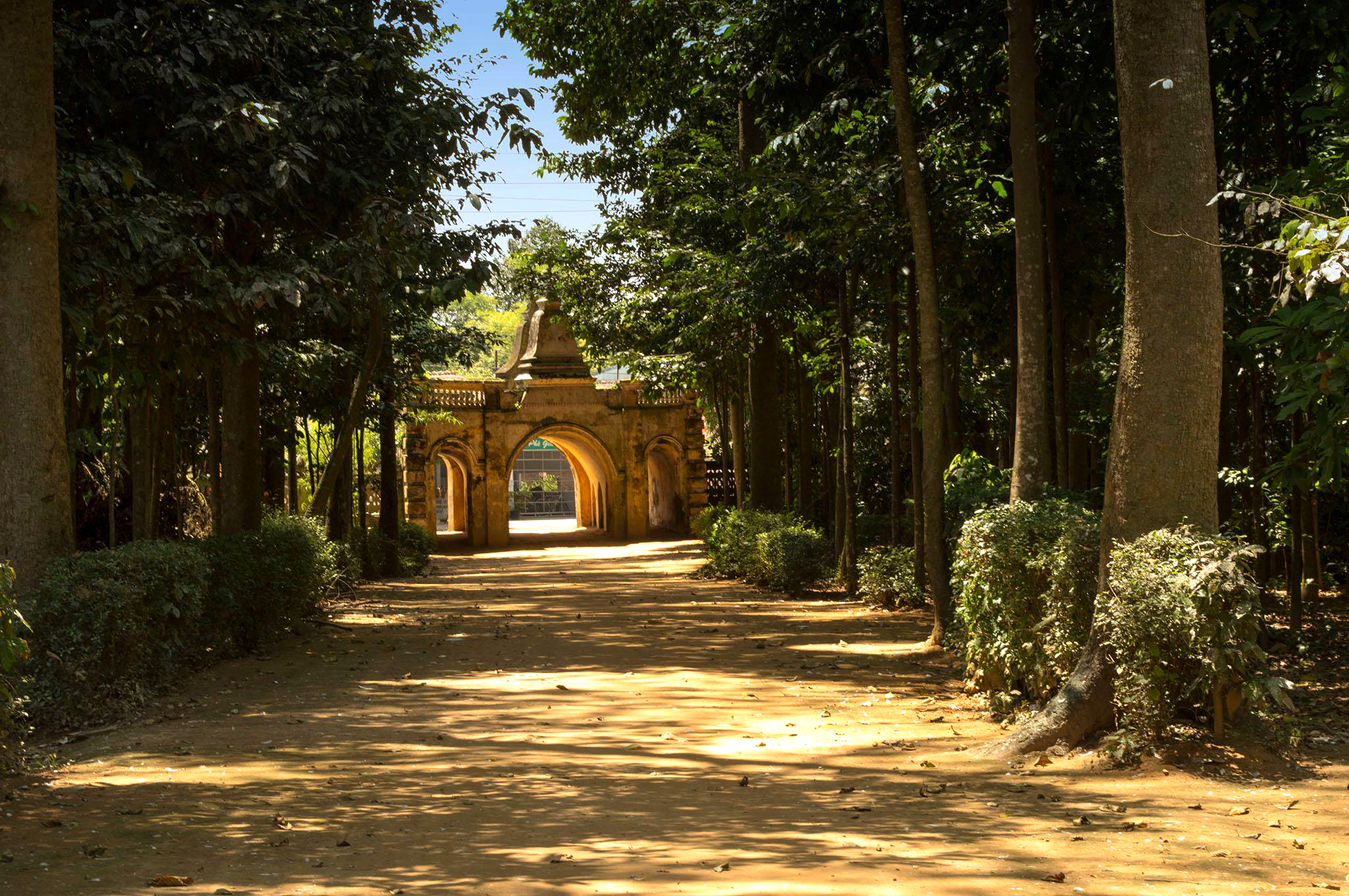 chuahangtravinh 1