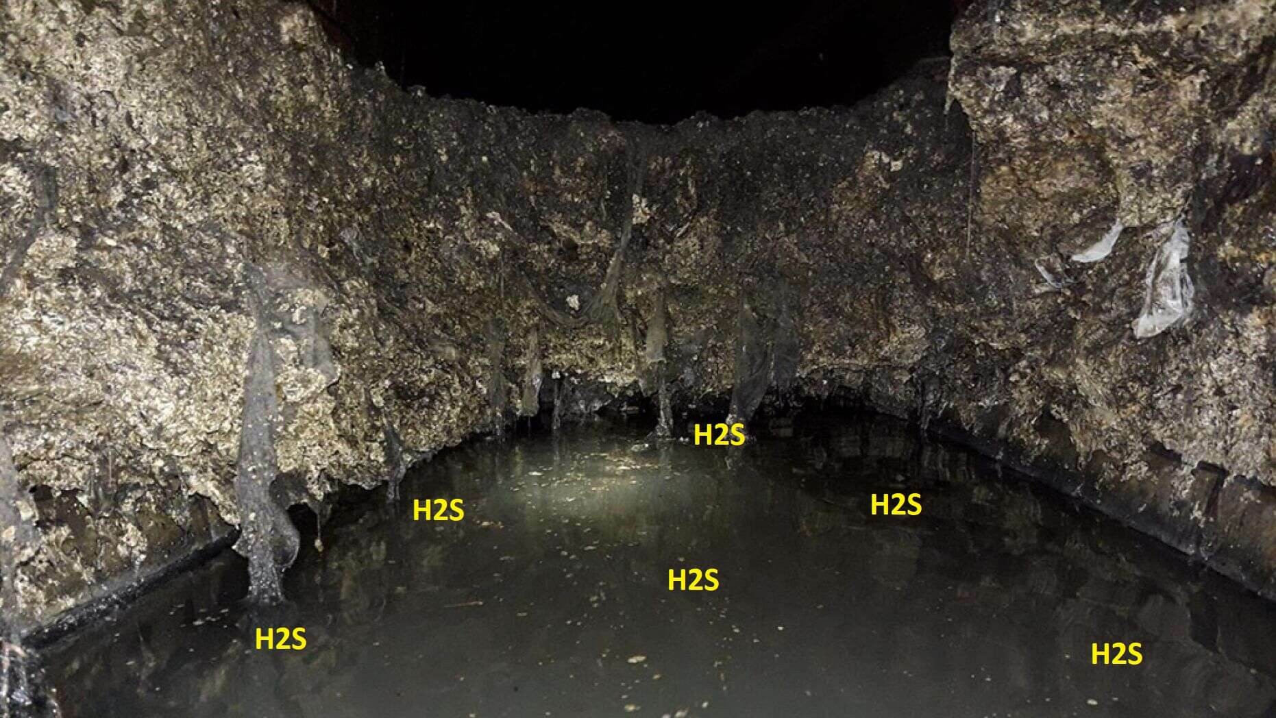 h1