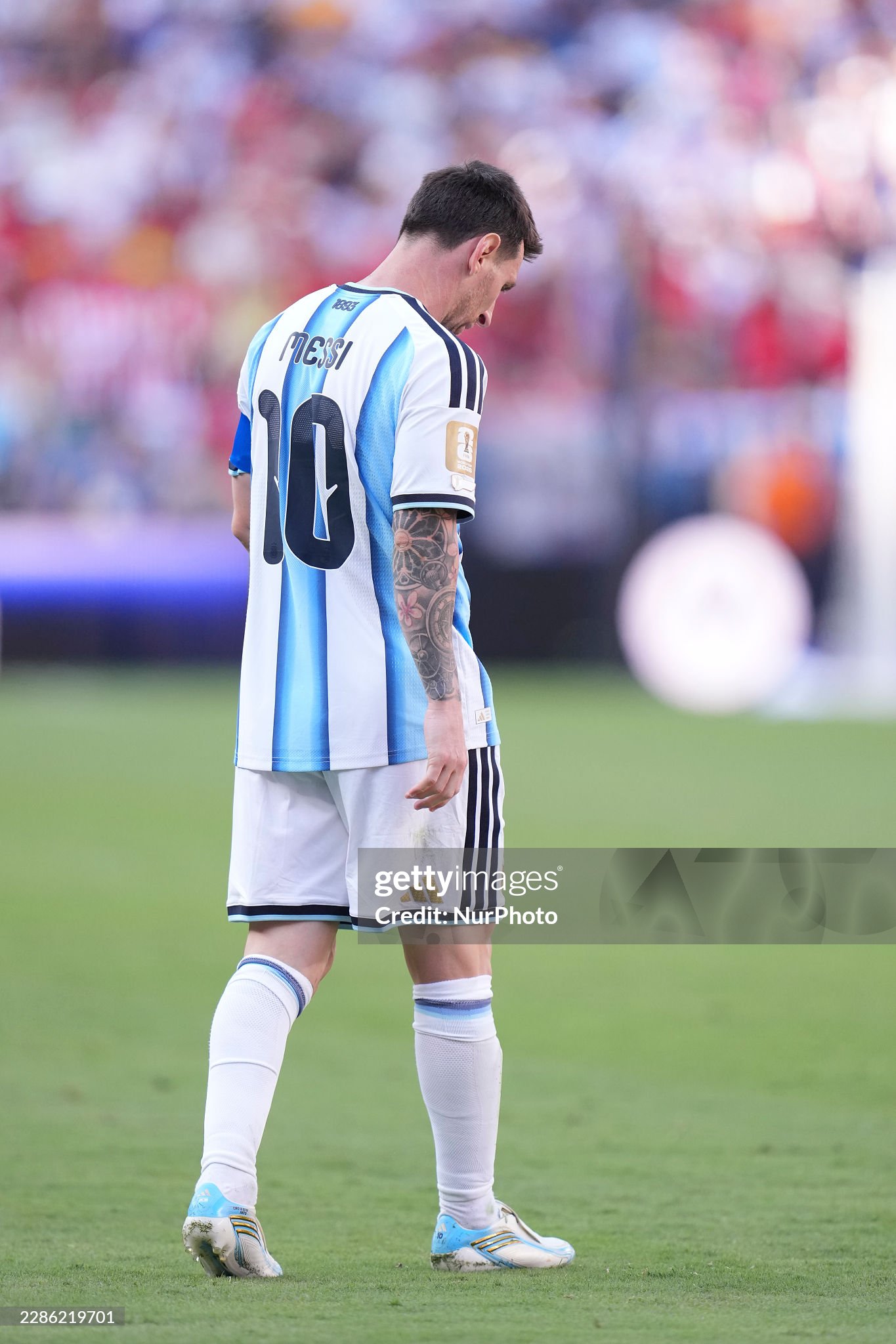 gettyimages 2286219701 2048x20481