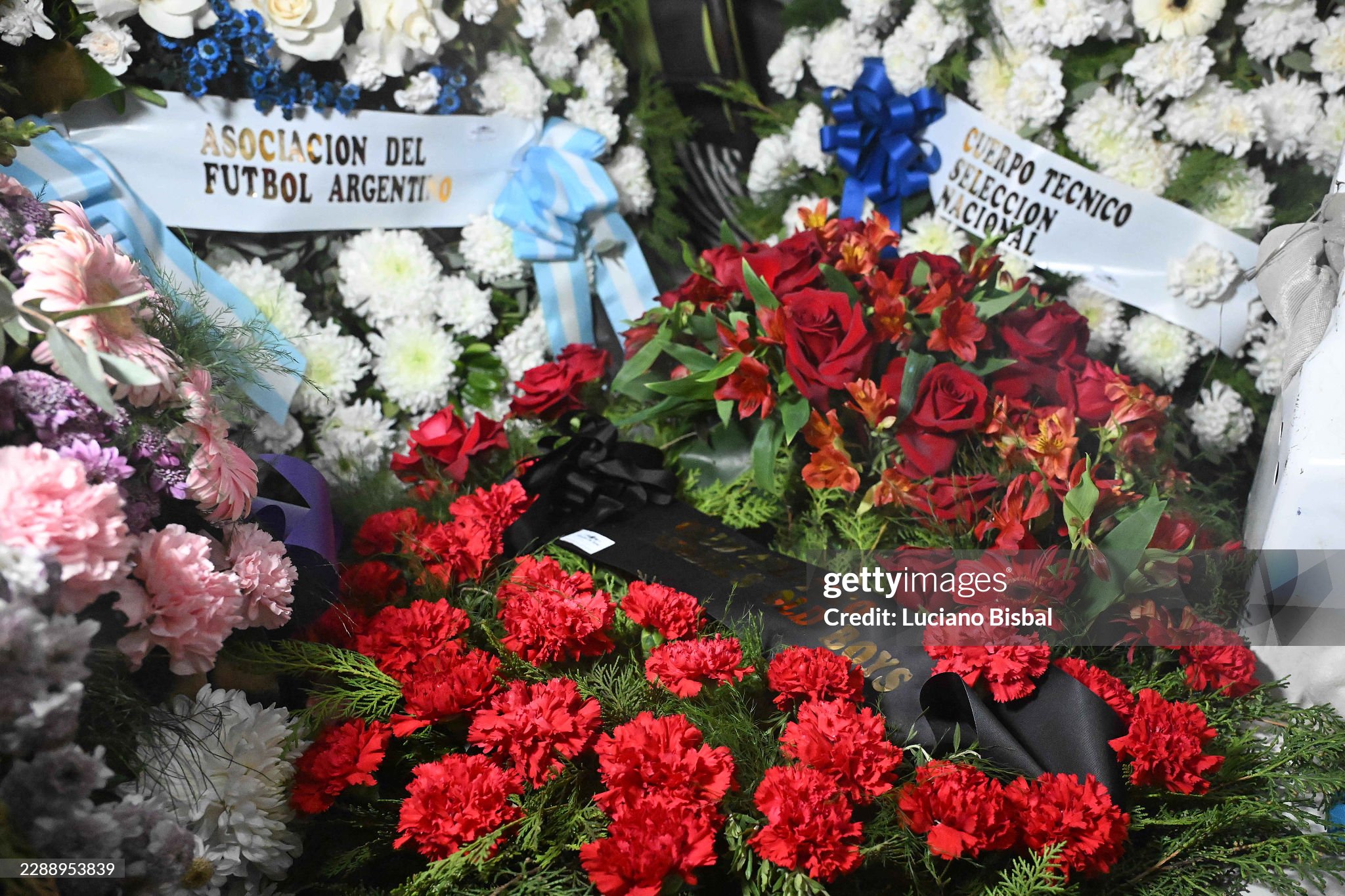 gettyimages 2288953839 2048x2048