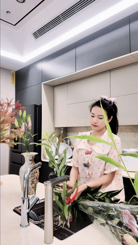 gif 1