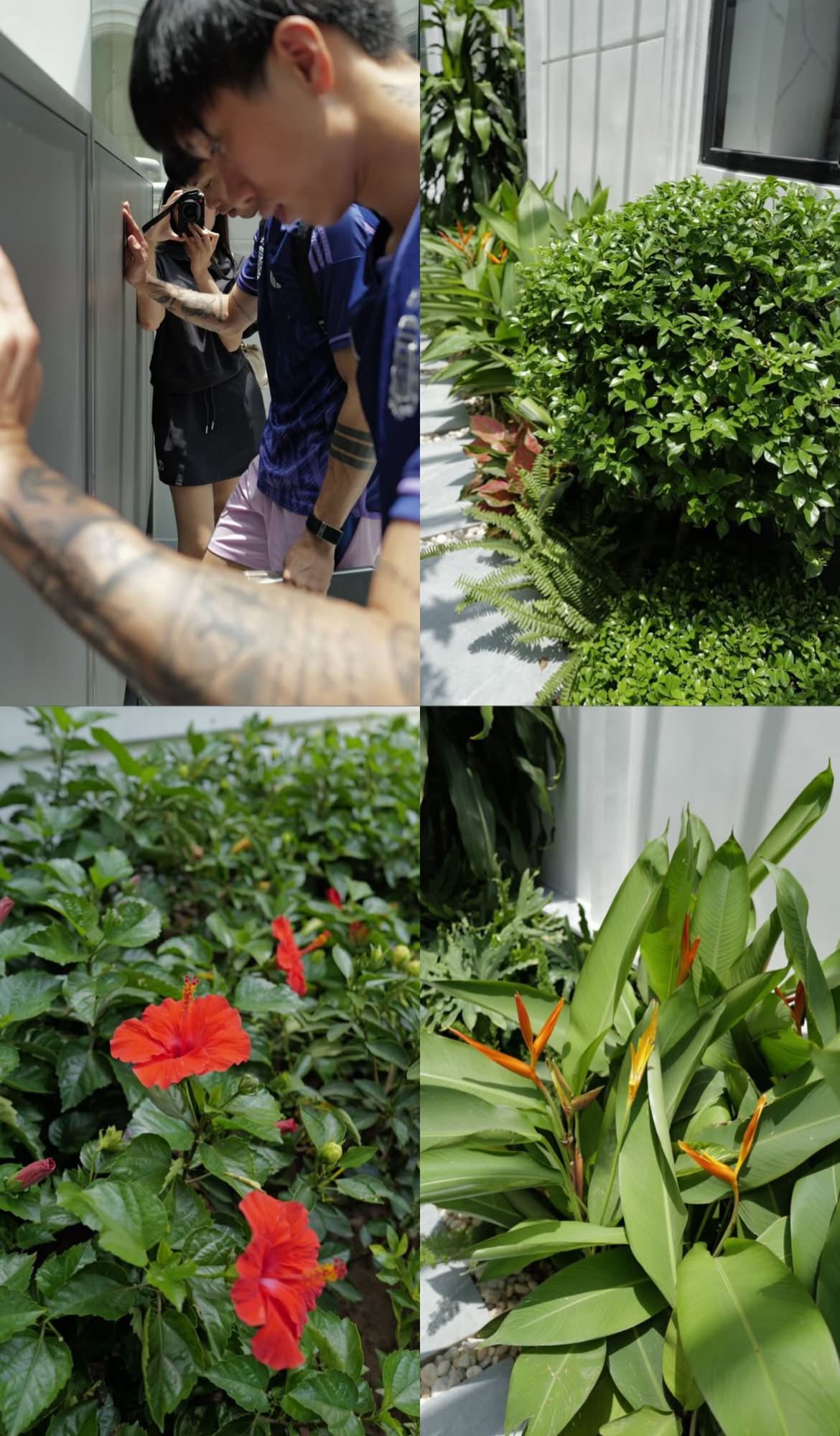 image 21