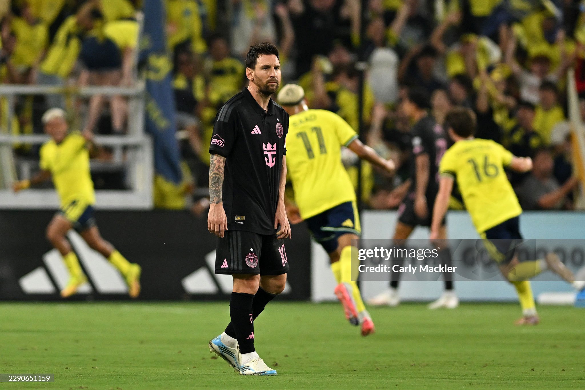 gettyimages 2290651159 2048x2048