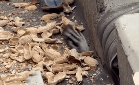 gif 3