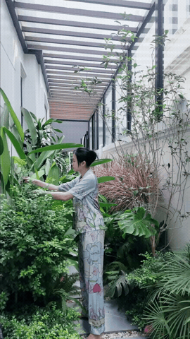 gif 3