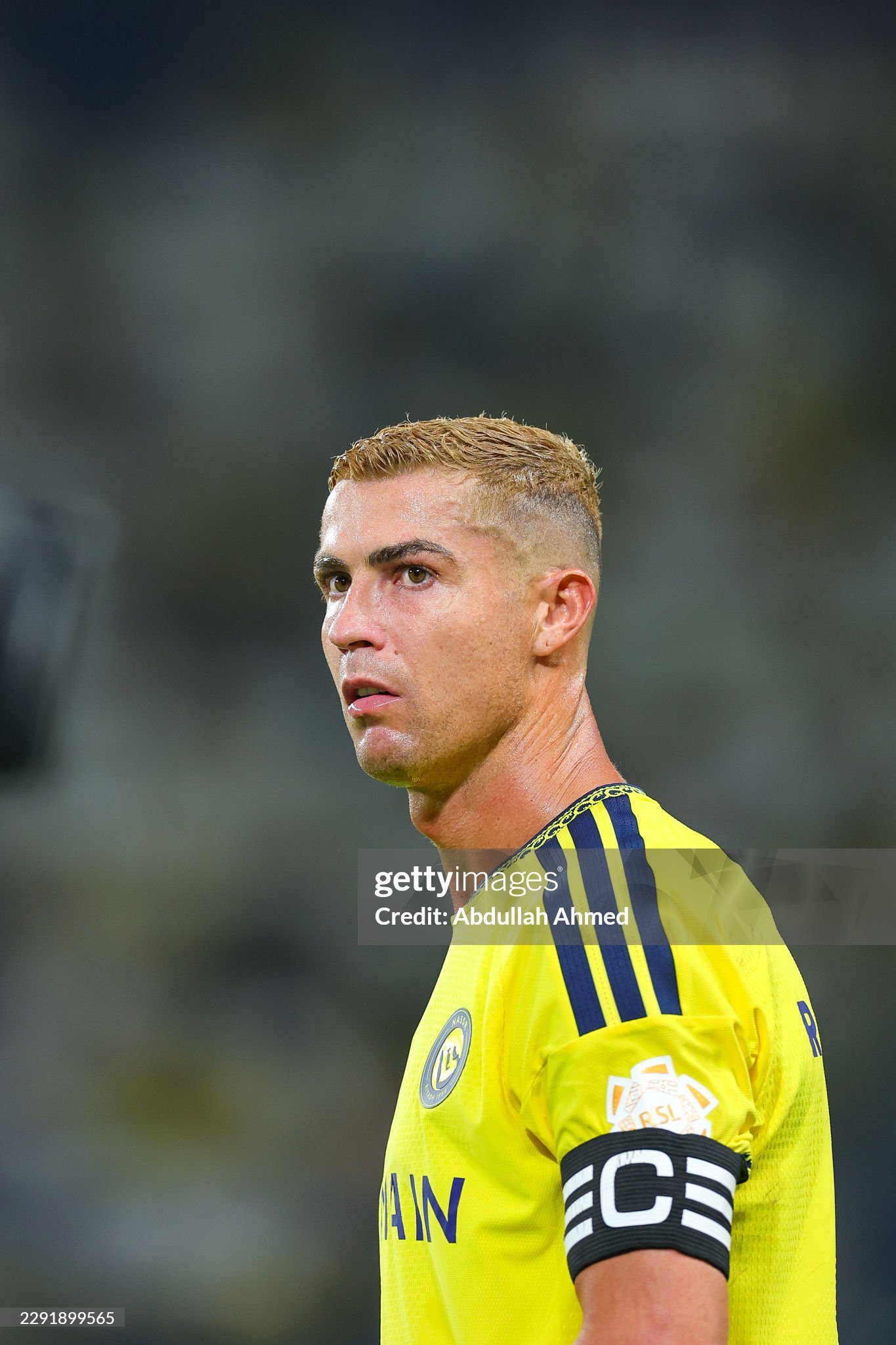 gettyimages 2291899565 2048x2048