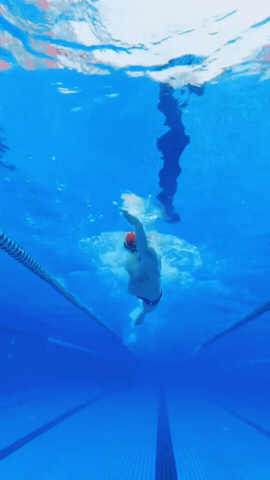 gif 11