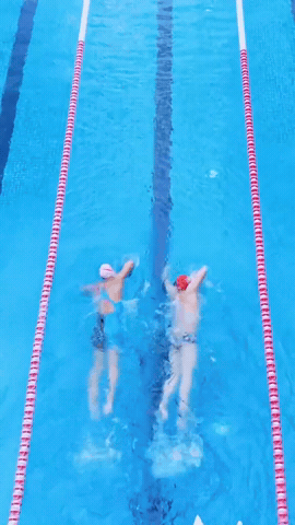 gif 31