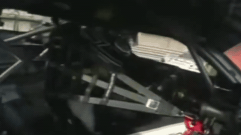 gif 2