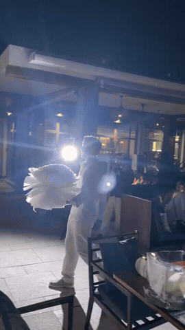 gif 8
