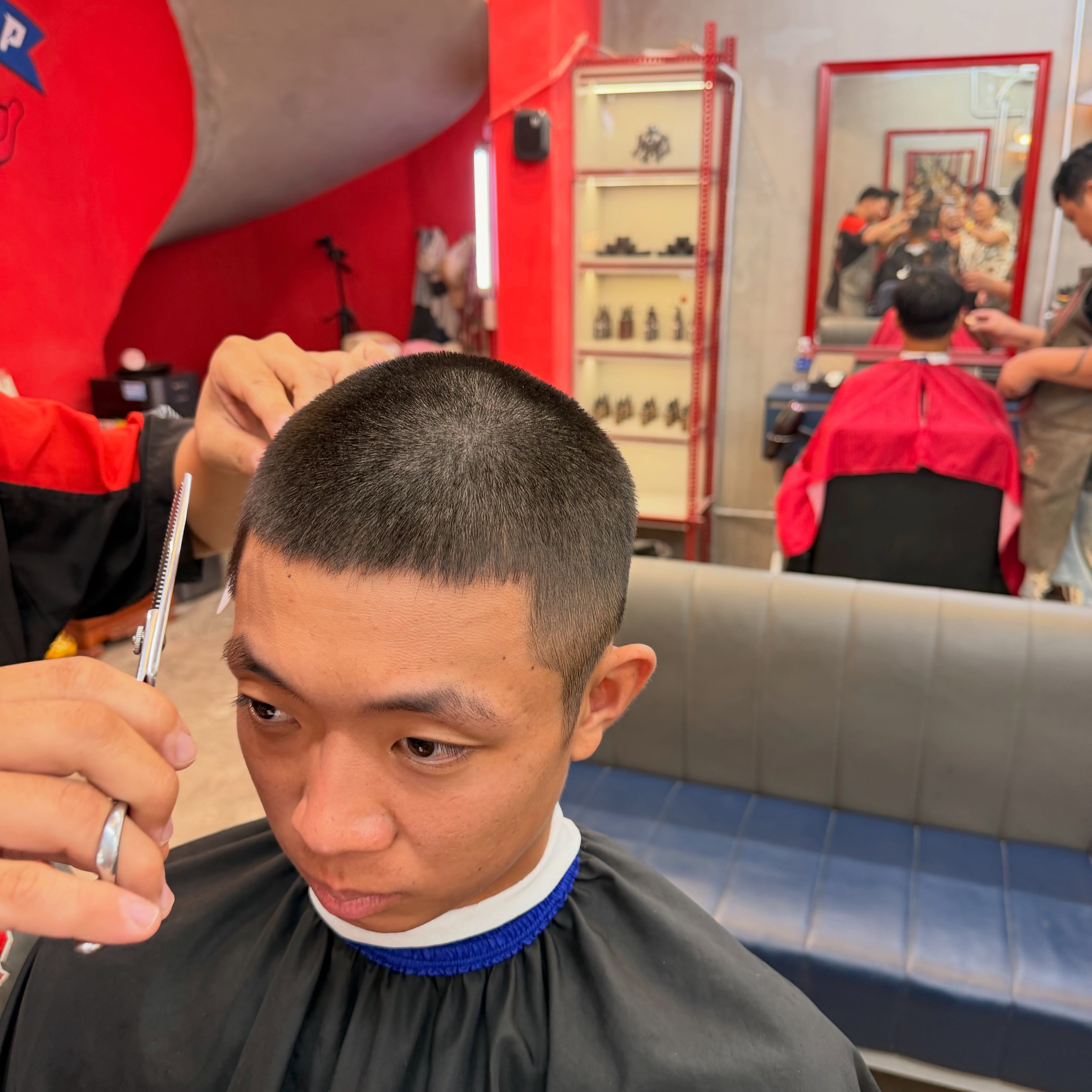 qdcut 3