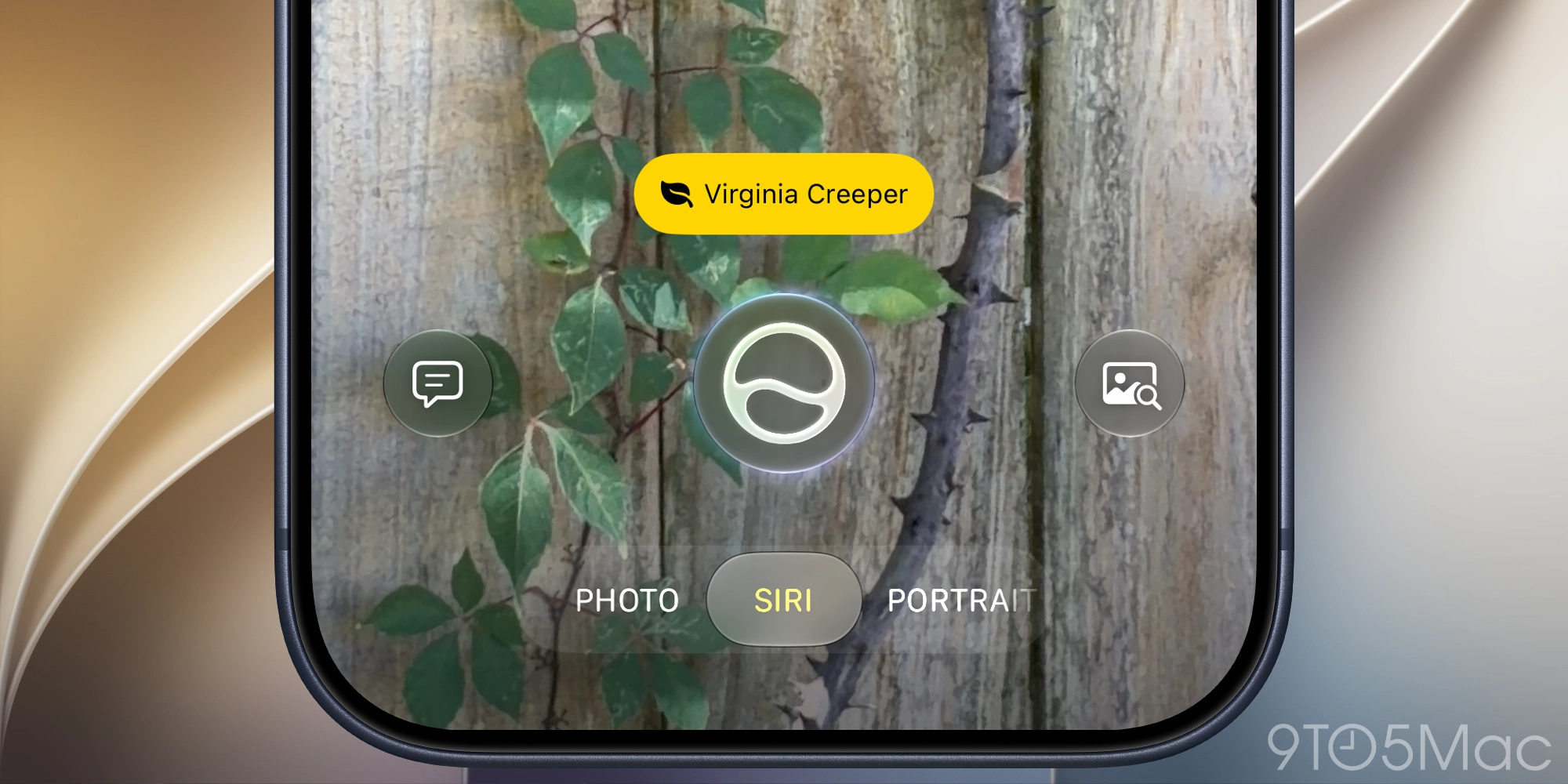 siri camera mode ios 27