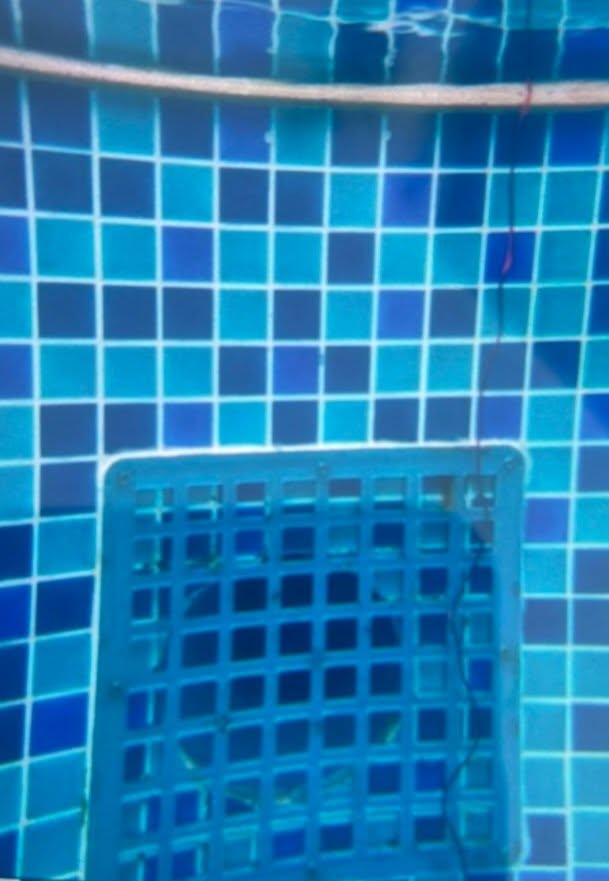 79288131713202372600672678077628691083209776n