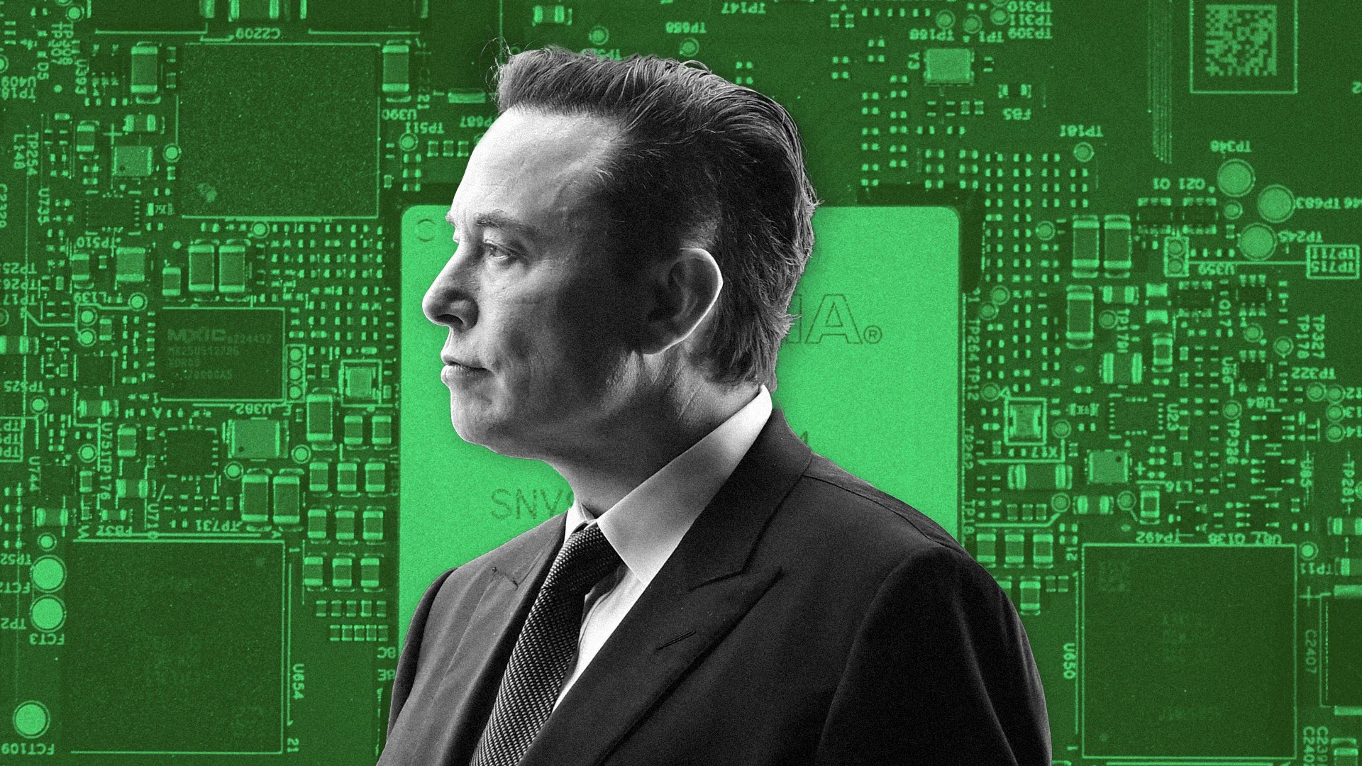 elon