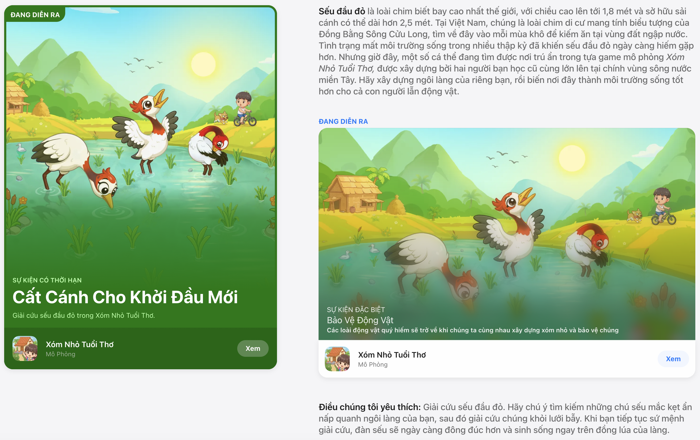anh man hinh 2026 10 11 luc 174705