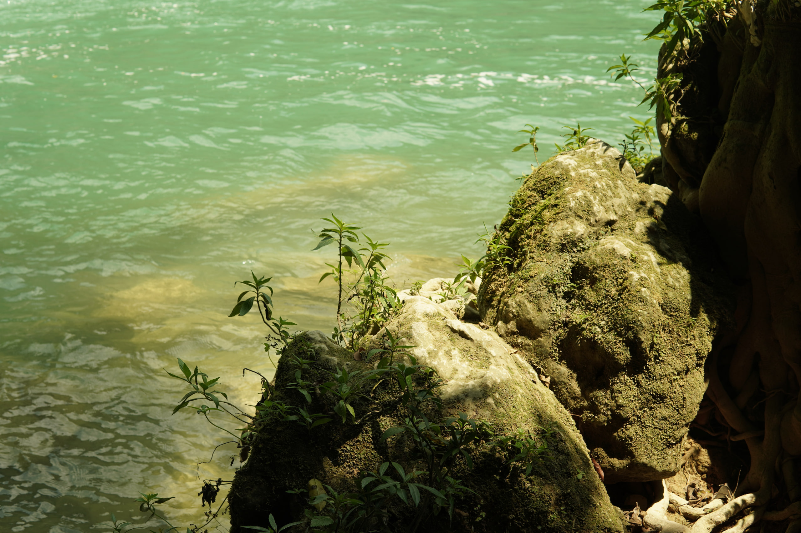 photo2026 10 1402 37 06