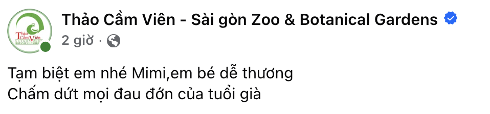 anh man hinh 2026 10 21 luc 170951