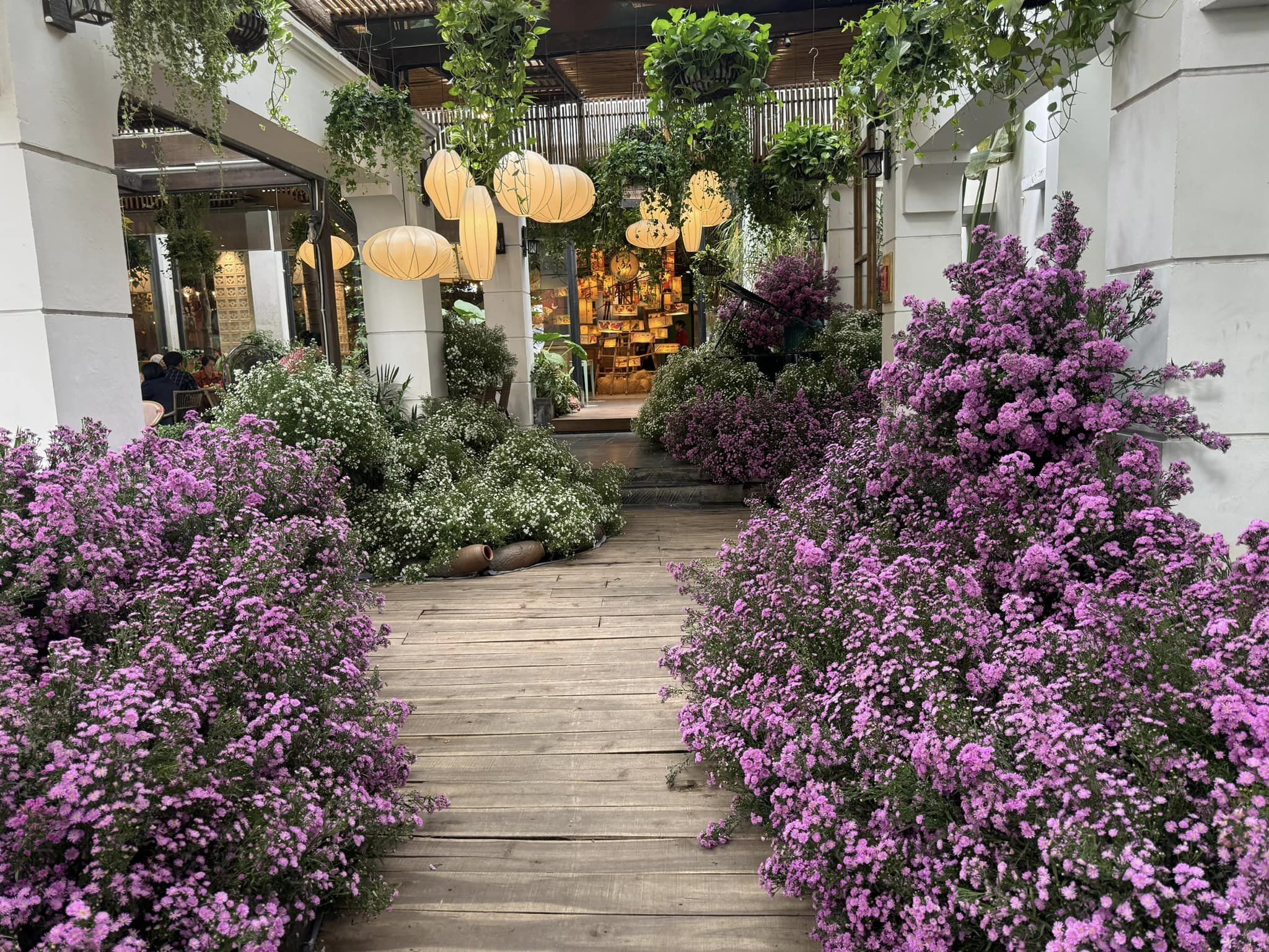 46331079584584390309362843518533342371806891n