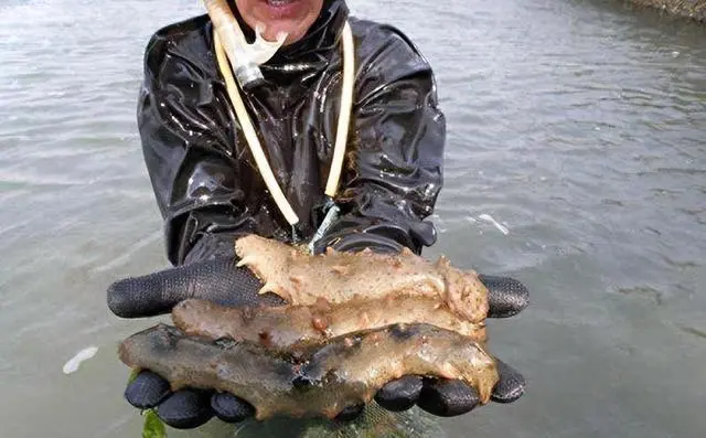 b219ebc4b74543a939d0ccb52d16878db801148b