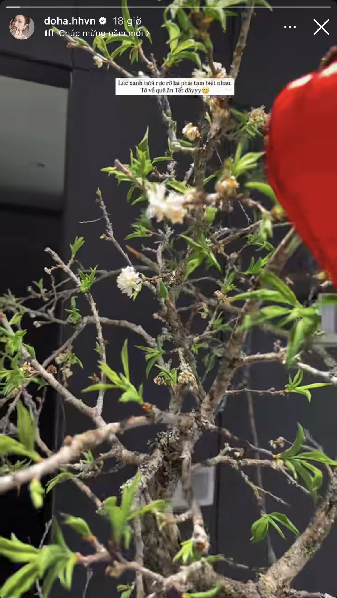 4737143509835959569985951551728121268018098n