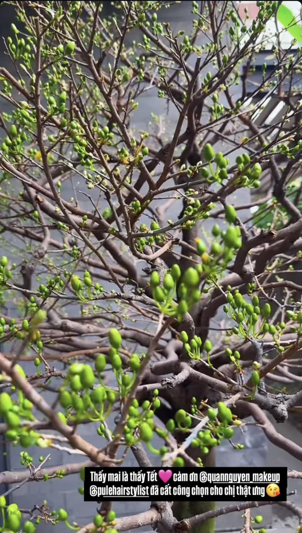 4748354241196212375197686525492331317557640n