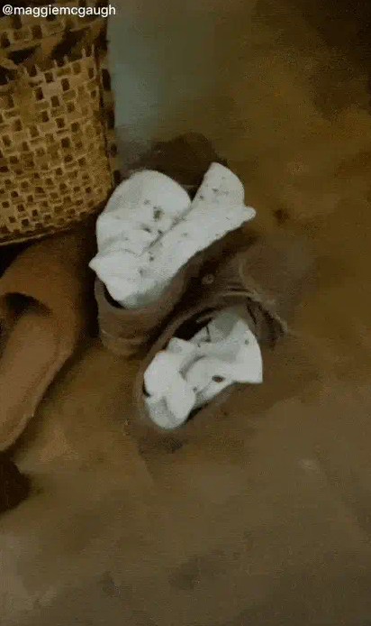 screenshot 2025 04 10 162022