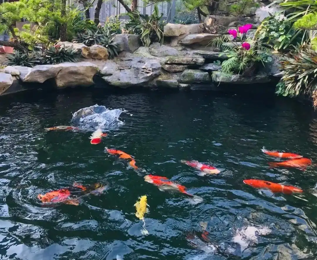 37d3d539b6003af38cb29f5dcd1dfe561038b641