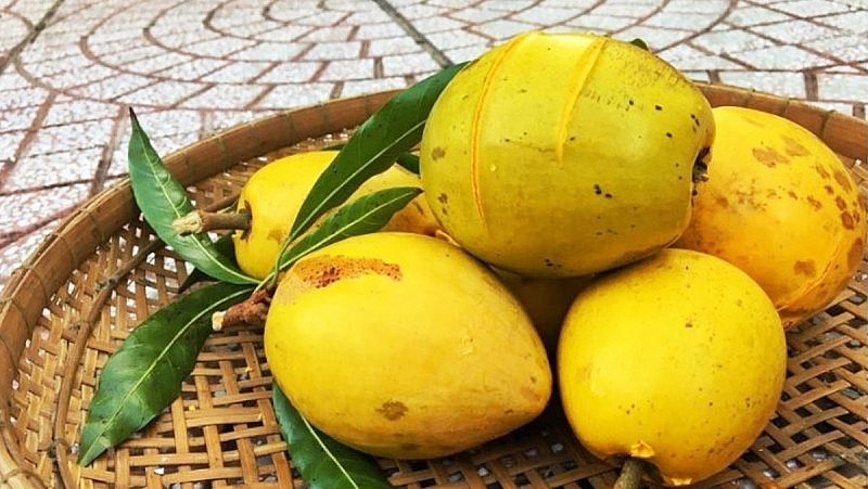 le ki ma la qua gi le ki ma mua o dau bao nhieu 1kg va lam avt 1200x67620231112082547