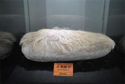 bb4b7395a8f0360cf5cf6202dbe80e13393f9d27w500h334