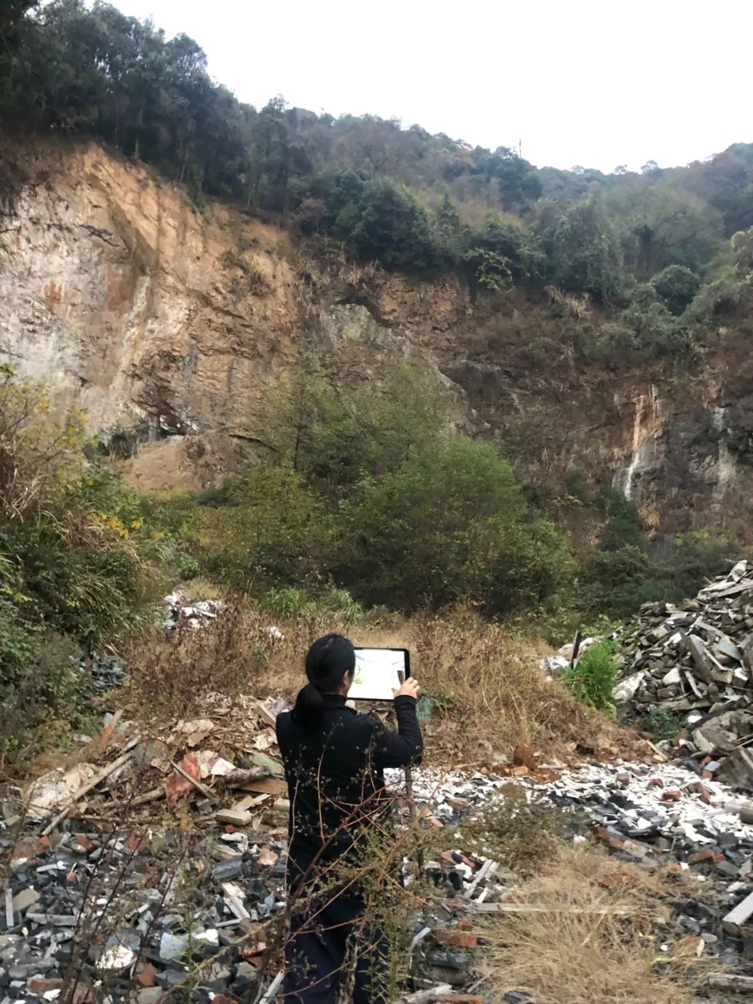 4a00a5aaaef14d9a998406979b459f37