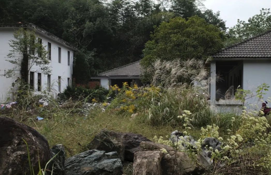 6d2bf3ec1e0145e8825b9307434b57b4