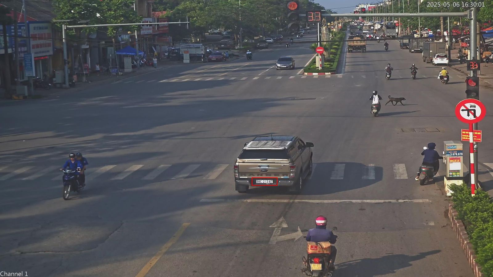 dendo25050616300798c21387