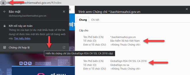 web320250708031053pm